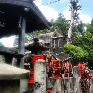 I santuari di Inari